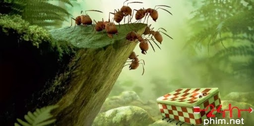 Minuscule-The-Valley-of-Lost-Ants-e