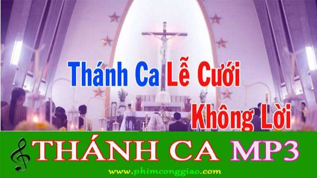 hoa-tau-thanh-ca-le-cuoi-mp3