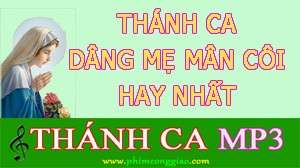 tuyen-tap-thanh-ca-dang-me-man-coi-hay-nhat