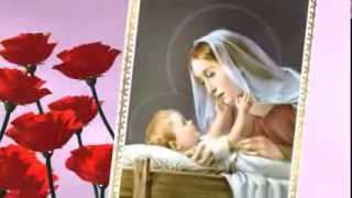 Album hình Đức Mẹ Maria