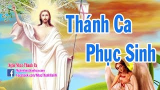 Thánh Ca Phục Sinh | Những Bài Hát Thánh Ca Phục Sinh Hay Nhất (Phần 3)