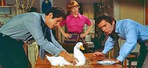 [Phim] Con vịt đẻ trứng vàng | The Million Dollar Duck 1971
