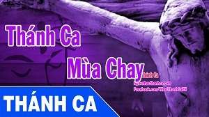 Thánh Ca Mùa Chay | Những Bài Hát Thánh Ca Mùa Chay Hay Nhất