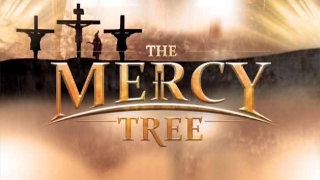 Thánh giá Lòng thương xót | Mercy tree