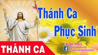 Thánh Ca Phục Sinh - Mừng Chúa Sống Lại (P2) | Bài Hát Về Phục Sinh Hay Nhất