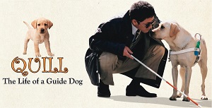 Quill: The Life of a Guide Dog (2004)